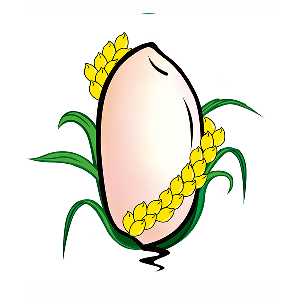 哈尔滨商标注册