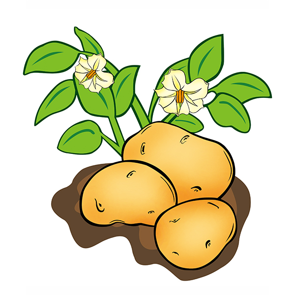 河北正规的商标无效宣告申请公司